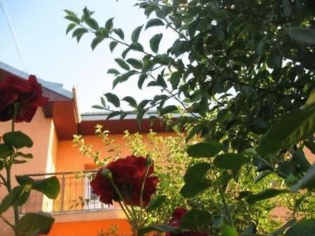 Lary Hostel Szucsáva Kültér fotó