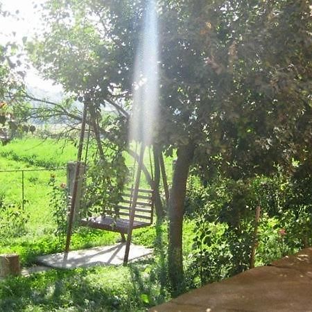 Lary Hostel Szucsáva Kültér fotó