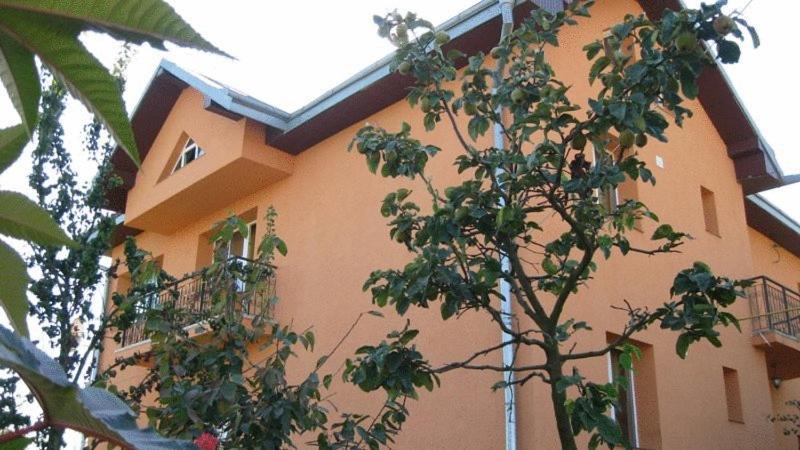 Lary Hostel Szucsáva Kültér fotó