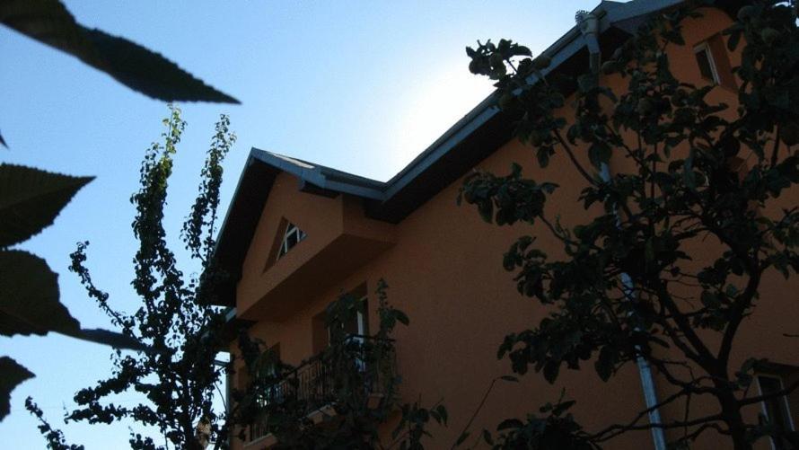 Lary Hostel Szucsáva Kültér fotó
