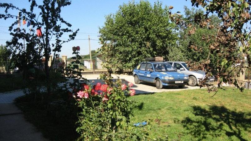 Lary Hostel Szucsáva Kültér fotó