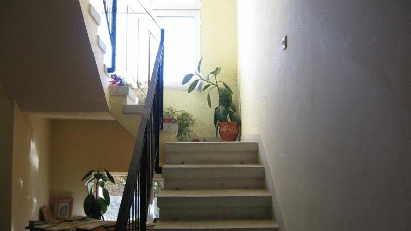 Lary Hostel Szucsáva Kültér fotó