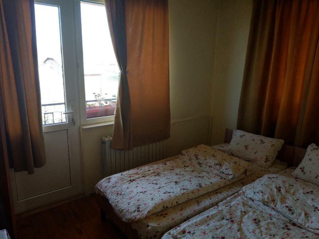 Lary Hostel Szucsáva Kültér fotó