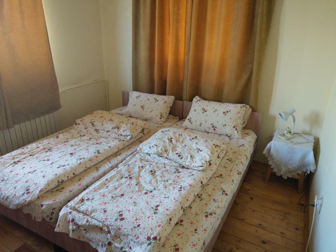 Lary Hostel Szucsáva Kültér fotó