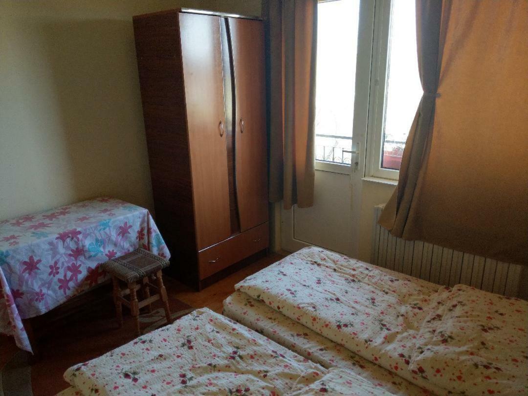 Lary Hostel Szucsáva Kültér fotó